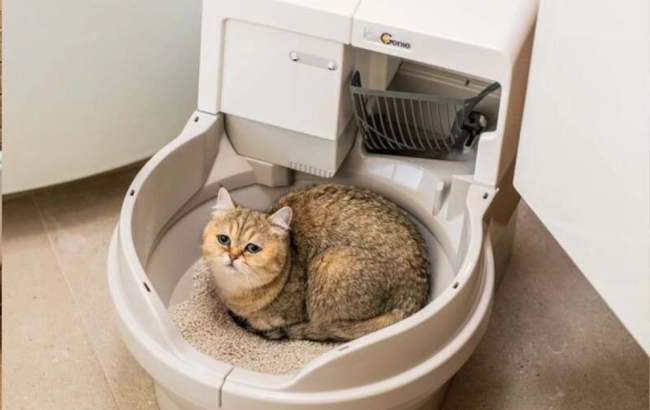 CatGenie A.I. - robotic toilet with GenieDome